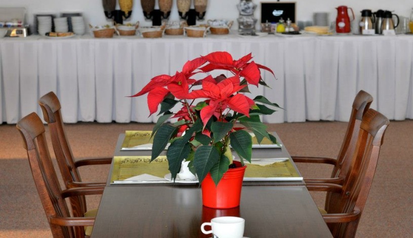 HOTEL DVOŘÁK **** České Budějovice